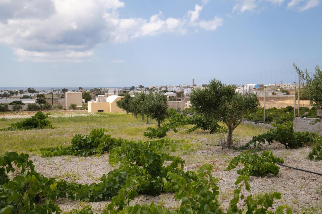 Private Villa Evgenia With Swimming Pool Perissa  Buitenkant foto